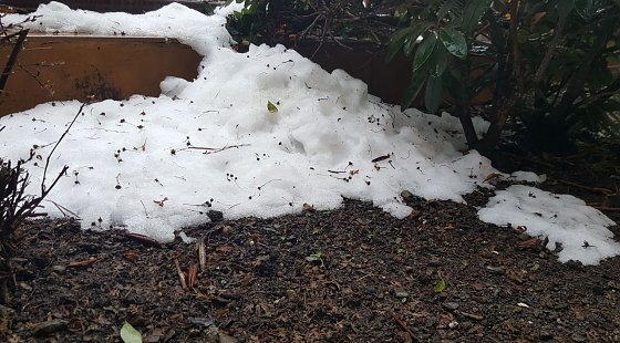 Bild: Wetterbild