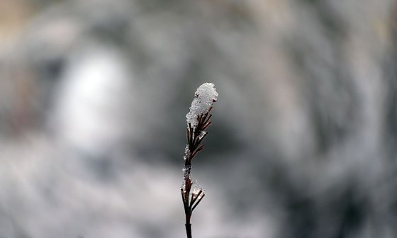 Bild: Wetterbild