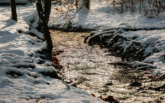 Bild: Weiter winterlich