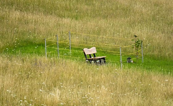 Bild: Wetterbild