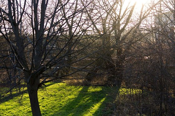 Bild: Wetterbild