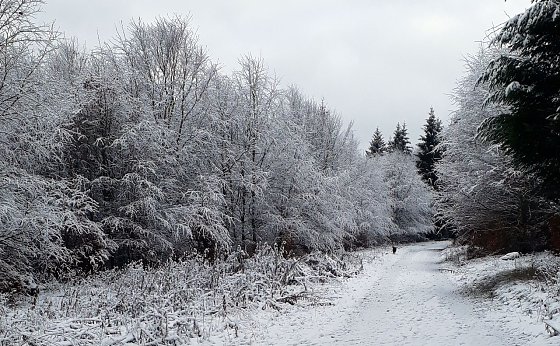 Bild: Sophienhof, im Landkreis Nordhausen