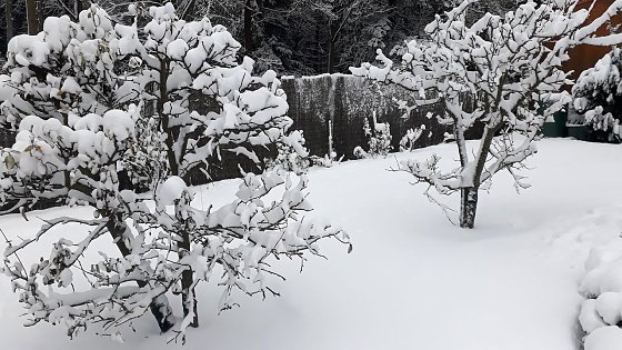 Bild: Winter in Sophienhof