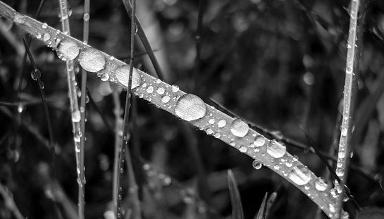 Bild: Wetterbild