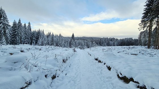 Bild: Winterlandschaft