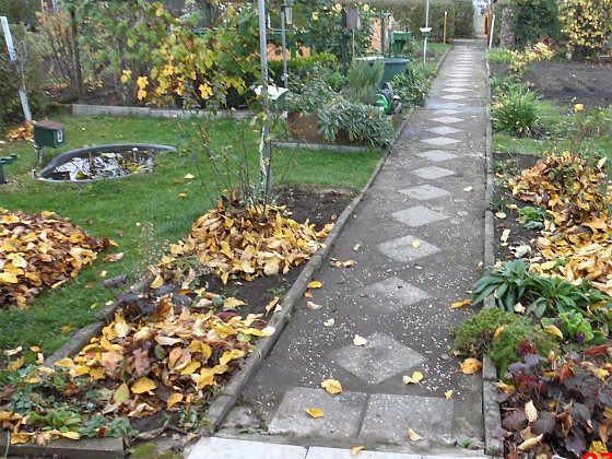 Bild: Auch im Herbst gibt es viel zu tun...