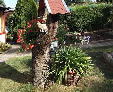 Bild: Der Garten im November