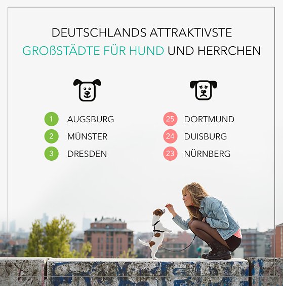 Bild: Grafik