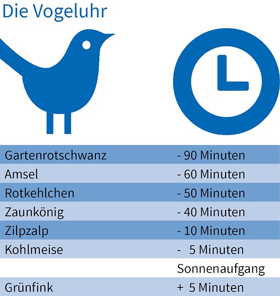 Bild: Die Vogeluhr