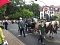 Weitere Bilder Festumzug (1)