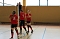Neues vom Volleyball