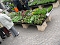 Blumen und mehr