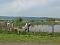 Fischerfest Auleben