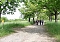 Tag der Parke