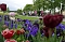 &Uuml;ber Tausend G&auml;ste waren bei der Dankesch&ouml;n-Veranstaltung auf dem Gel&auml;nde der Landesgartenschau in Leinefelde-Worbis. 
