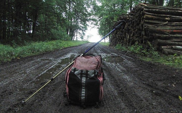 Bild: Hier ist der Harz zu Ende