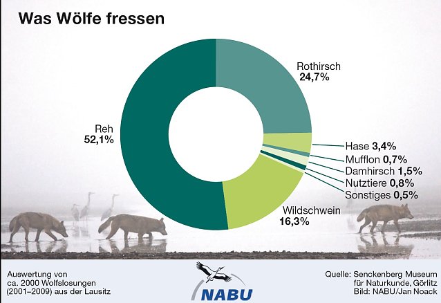 Bild: Grafik