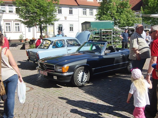 Bild: Autofr&uuml;hling