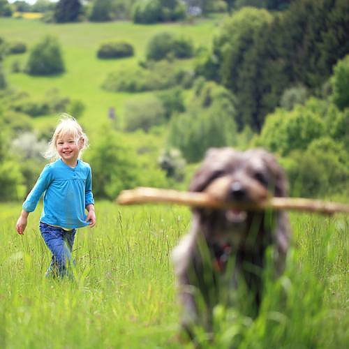 Bild: Kind mit Hund