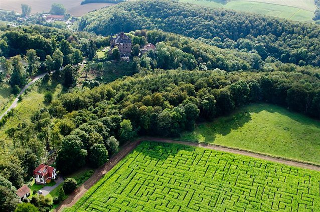 Bild: Maislabyrinth