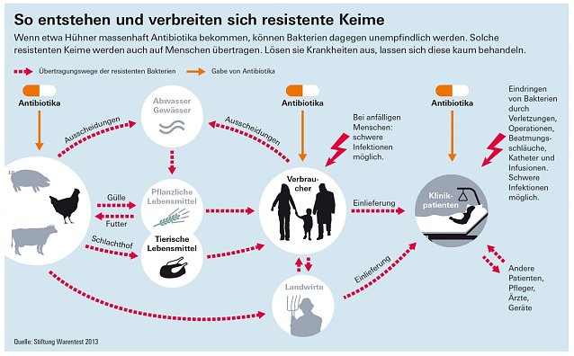 Bild: Grafik