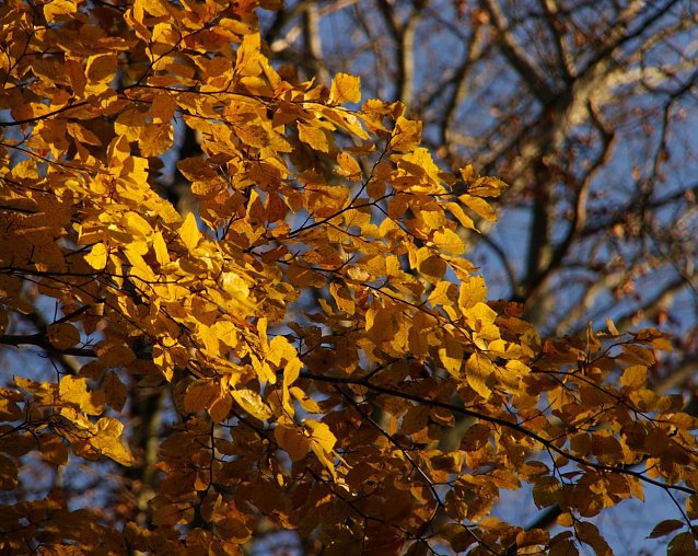 Bild: Das etwas andere Wetter-Bild