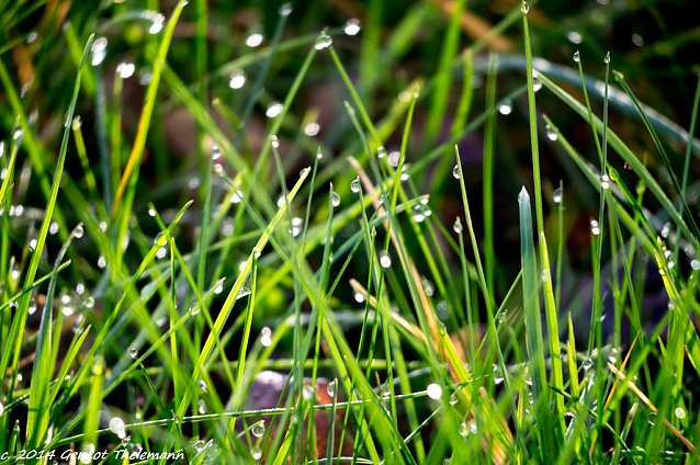 Bild: Wetter-Bild