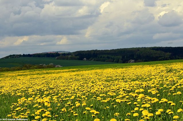 Bild: Wetter-Bild