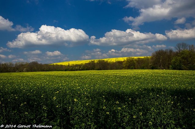 Bild: Wetter-Bild
