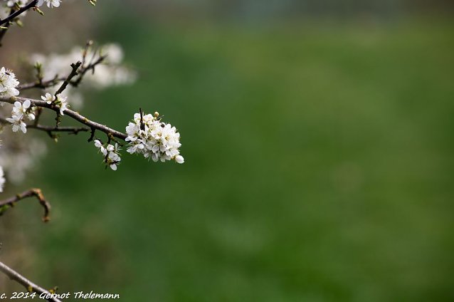 Bild: Wetter-Bild