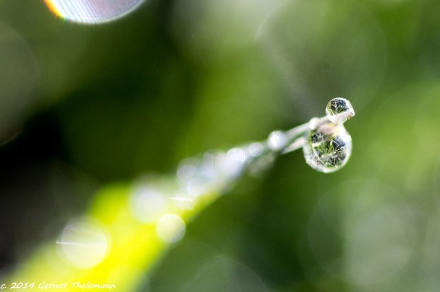Bild: Wetter-Bild