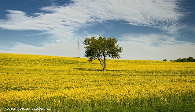 Bild: Wetter-Bild