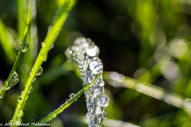 Bild: Wetterbild