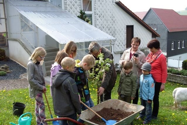Bild: Baum pflanzen