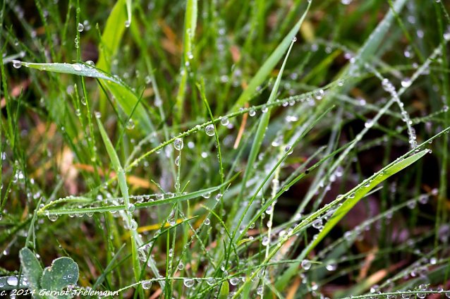 Bild: Wetter-Bild