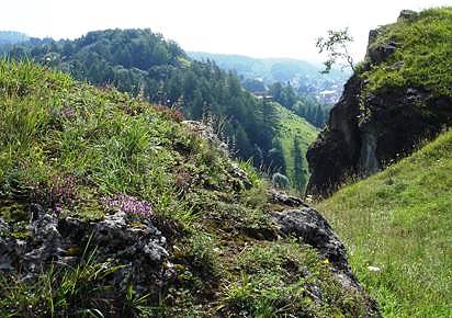 Bild: Auf dem Karstwanderweg