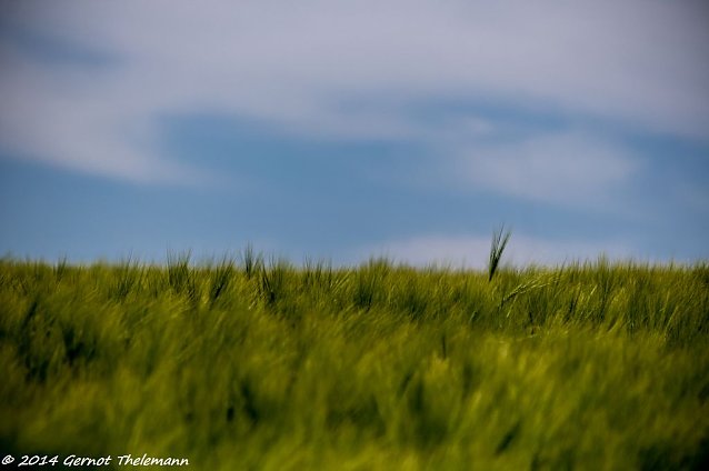 Bild: Wetterbild