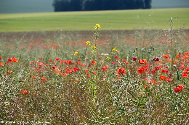 Bild: Wetter-Bild