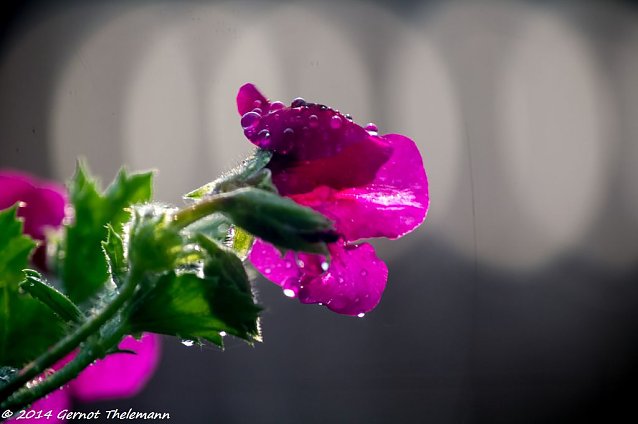 Bild: Wetter-Bild