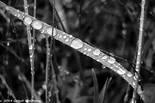 Bild: Wetterbild