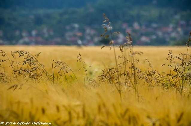 Bild: Wetterbild