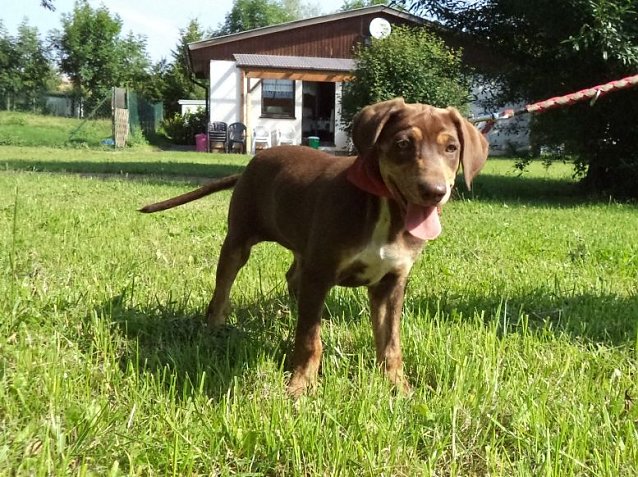 Bild: Tosca