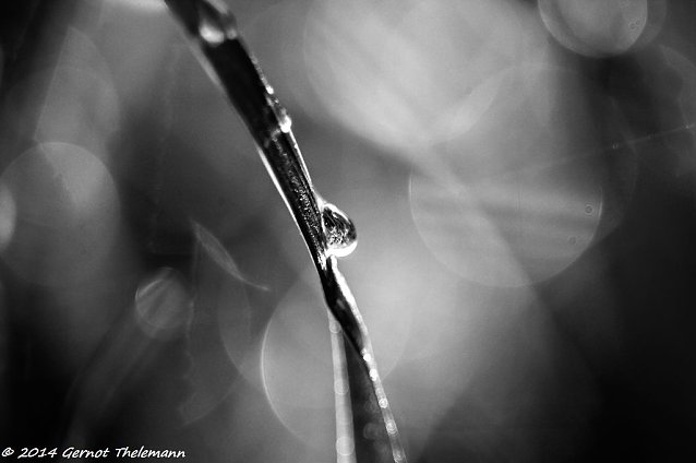 Bild: Wetter-Bild