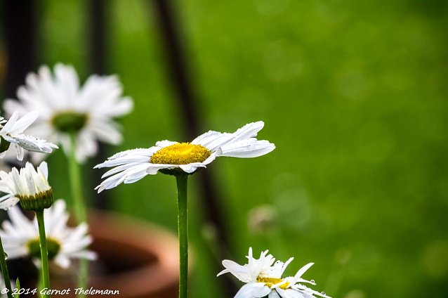 Bild: Wetter-Bild