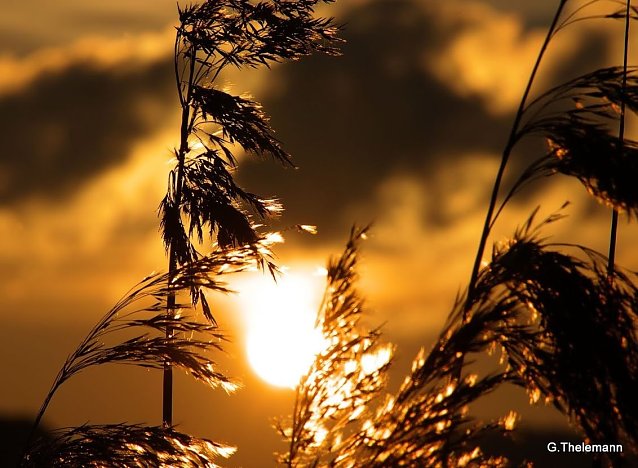Bild: Wetter-Bild