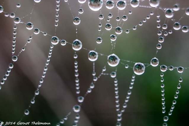 Bild: Wetter-Bild