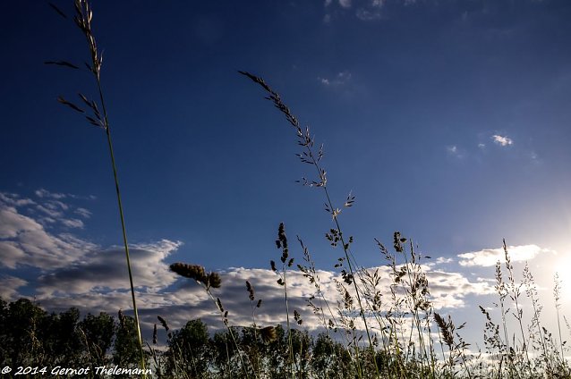Bild: Wetter-Bild