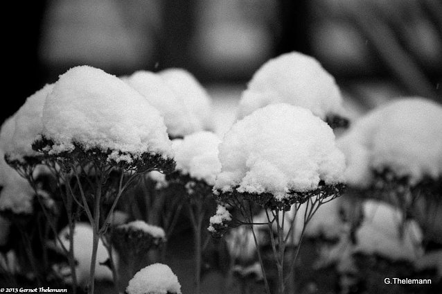 Bild: Wetter-Bild