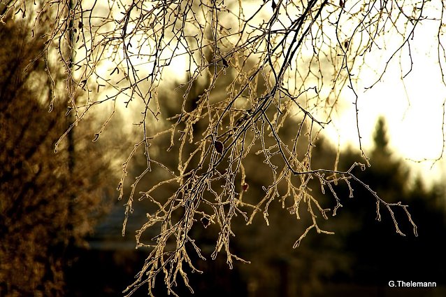 Bild: Wetter-Bild