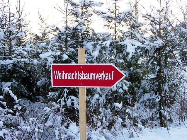 Bild: Weihnachtsbaumverkauf